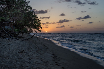 Hawaiian Beach at sunset