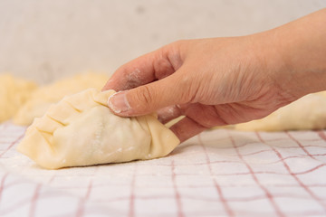 Female Hand moving a Handmade Dumpling.