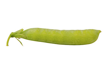 Green pea (Pisum sativum) on a white background