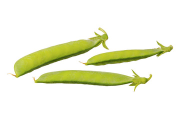 Green pea (Pisum sativum) on a white background