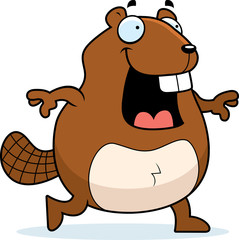 Beaver Walking