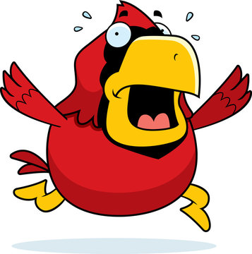 Cartoon Cardinal Panic