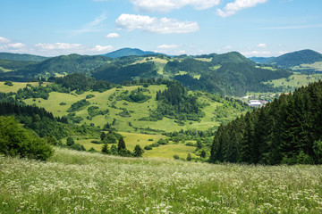 Fototapeta na wymiar Widok na zielone wzgórza i łąkę.