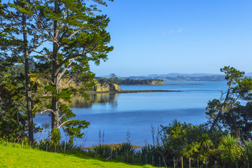Scandrett Beach Auckland New Zealand