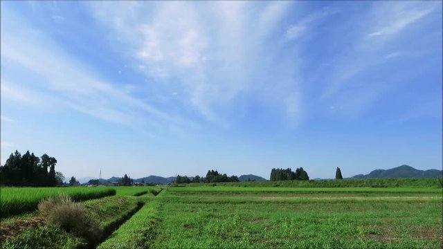 青い空　流れる白い雲　夏の農村風景　タイムラプス