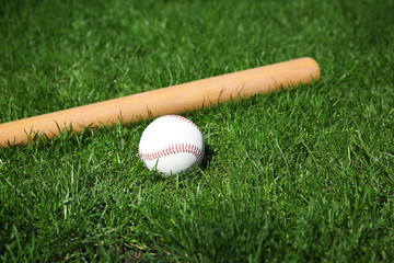 Baseball ball and bat on fresh green grass outdoors