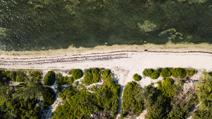 Naklejka premium Aerial view of a remote, empty tropical beach