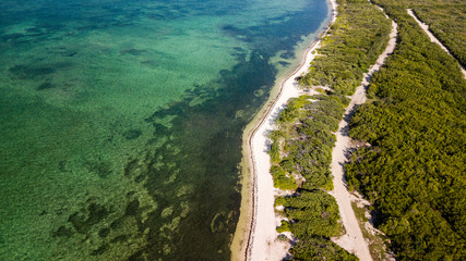Aerial view of a remote, empty tropical beach