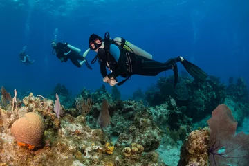 Rolgordijnen Female SCUBA diver on a tropical coral reef © whitcomberd