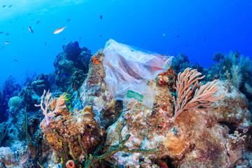Fototapeta na wymiar Plastic pollution:- a discarded plastic rubbish bag floats on a tropical coral reef presenting a hazard to marine life