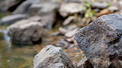 Rock on the bank of a river
