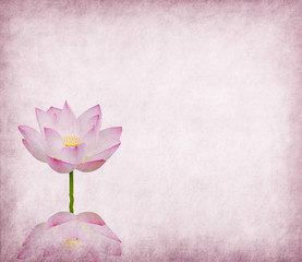 lotus on the old grunge paper background