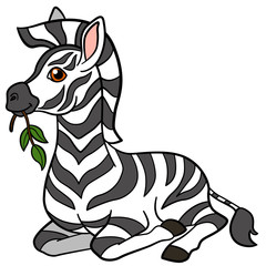 Fototapeta na wymiar Cartoon animals. Little cute baby zebra eats.