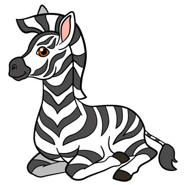 Cartoon animals. Little cute baby zebra.