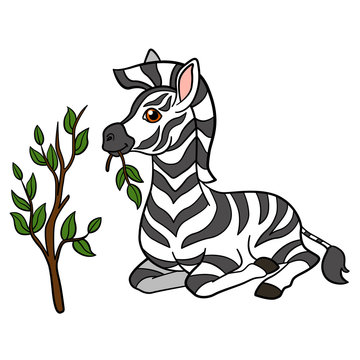 Cartoon animals. Little cute baby zebra eats.