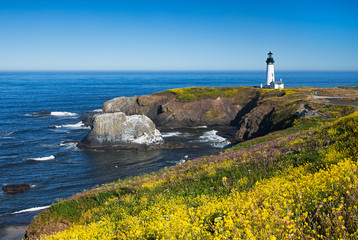 Yaquina Head Lighthouse, Oregon, USA - obrazy, fototapety, plakaty