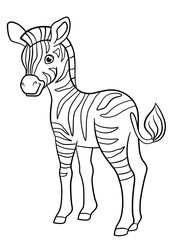 Coloring pages. Little cute baby zebra.
