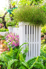 Beautiful flower garden. /White picket fence surrounded by flowers in front of garden on summer.
