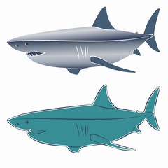 illustration of shark, vector draw