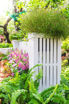 Beautiful flower garden. /White picket fence surrounded by flowers in front of garden on summer.
