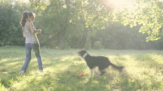 Funny border collie with black and white fur jumps on the girl handler and catches in the jump of orange plastic frisbee