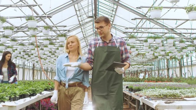 In Sunny Industrial Greenhouse Agricultural Engineer and Gardener Inspect Flowers and Plants and Analyze Data with Tablet Computer. Rows of Rare and Commercially Viable Plants are Visible. 4K UHD.