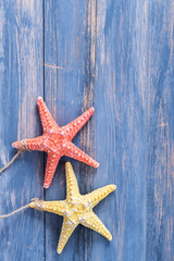 Two starfish on a blue wooden background