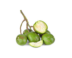 Elaeocarpus hygrophilus on white background