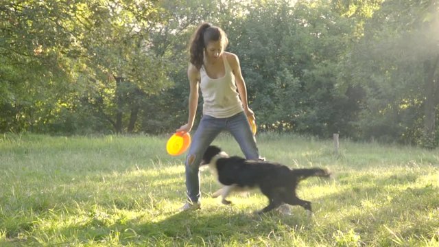 A dog border collie on the grass runs behind the frisbee between slender legs of the girl handler, slow motion shooting
