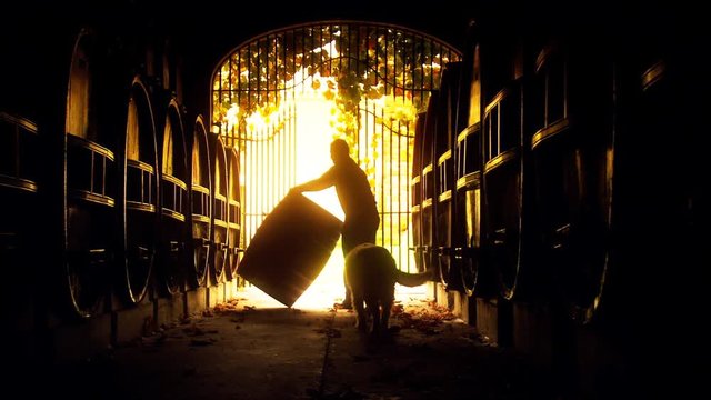 Abstract background footage of vigneron winemaker rolling vintage red or white wine barrel in old winery cellar featuring rows of oak barrels after harvest. Barossa valley.