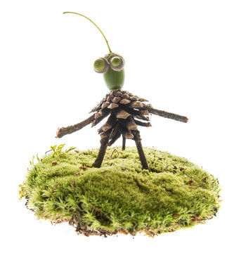 Creature made from natural materials isolated on white - autumnal natural toy