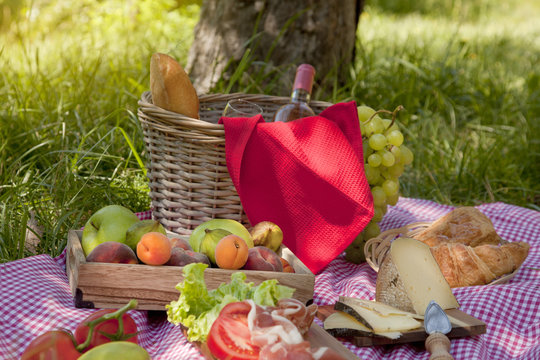 Picnic at the park on the grass: tablecloth, basket, healthy food, rose wine and accessories
