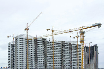 Fototapeta premium Several cranes are building a building with a white background.