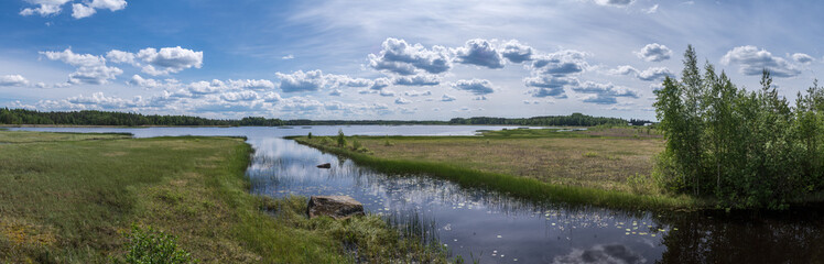 lake landscape in summer