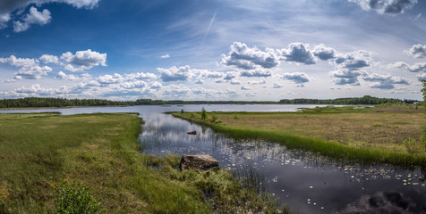 lake landscape in summer
