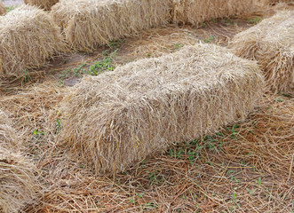 Straw Seats made of straw hay.