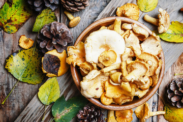 Wild mushrooms chanterelle in bowl, rustic style, old wooden background, top view