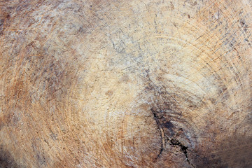 closeup old chopping wood texture