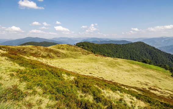 grassy hills of mountain ridge in autumn