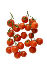 Italy, Sicily, typical tomatoes "Pachino".