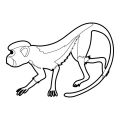 Going forward monkey icon outline