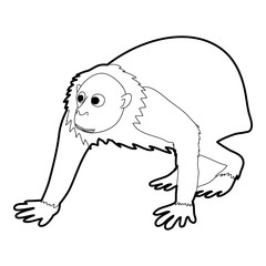 Bald wakari icon outline