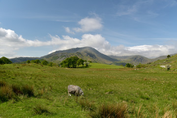 Wetherlam in Little Langdale, English Lake District