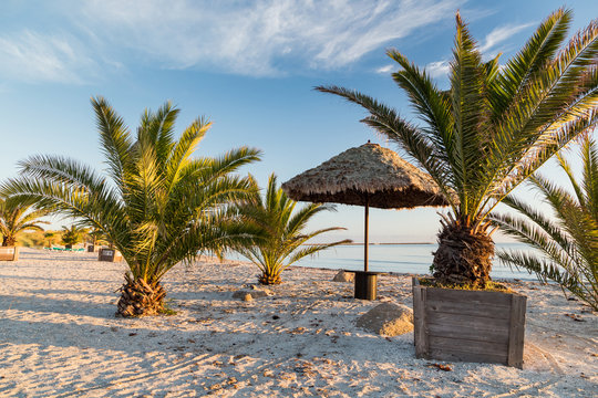 Palmenstrand an der d&auml;nischen K&uuml;ste in Frederikshavn