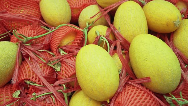 Muskmelon sold in supermarket stock footage video