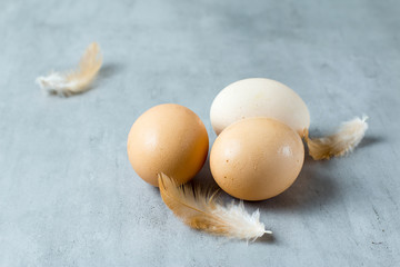 Close-up view of raw chicken eggs