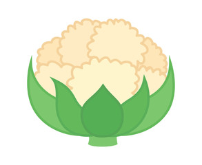 Cauliflower vegetable with leaves flat vector color icon for food apps and websites