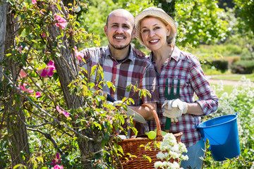 portrait of a lovely senior couple taking care of green plants in the garden