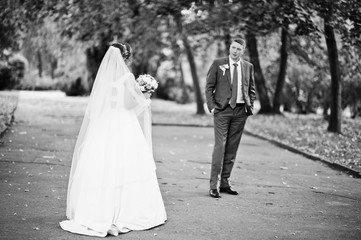 Fabulous young wedding couple posing in the park on the sunny day. Black and white photo.