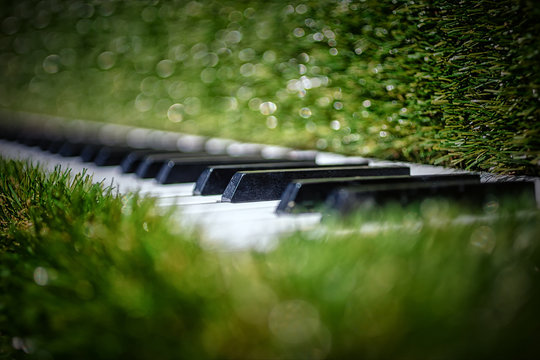 Gr&uuml;nes Klavier auf der Landesgartenschau, Apolda, Th&uuml;ringen